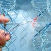 Будущее с CRISPR